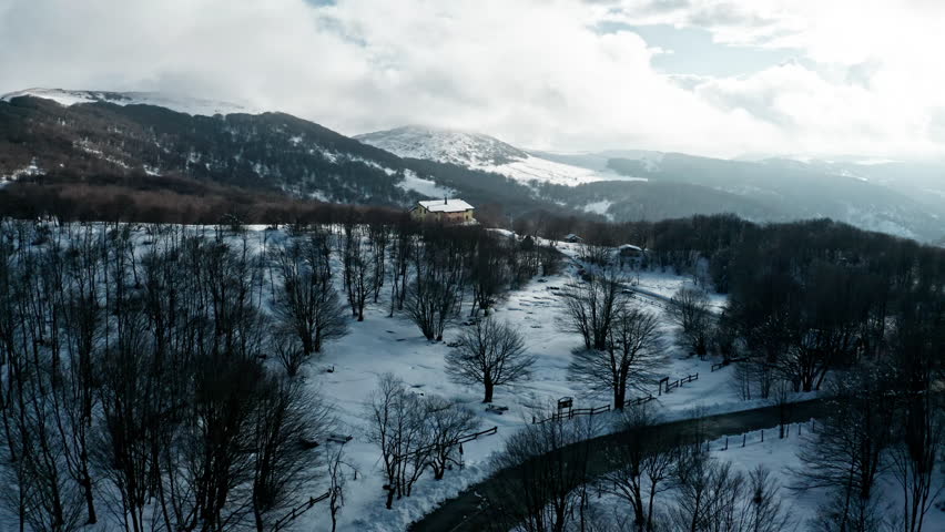 Snow-covered landscape in winter with scattered trees and distant mountains, aerial view