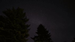 Bright Night Sky Stars Above Dark Black Crowns Of Pine Trees Woods Silhouettes. Natural Starry Sky Above Woods - Powered by Shutterstock - Get 15% off with code: PIKWIZARD15