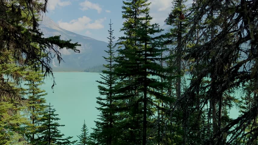 Emerald Lake is located in Yoho National Park in Canada. Famous for its emerald color and the splendid view of the Canadian Rockies that frame it. Canoe excursion with family. Trekking to the lake.
