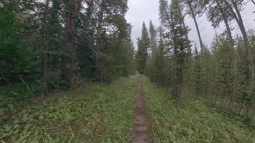 Hiking Uphill on Solfatara Creek Trail in Yellowstone National Park