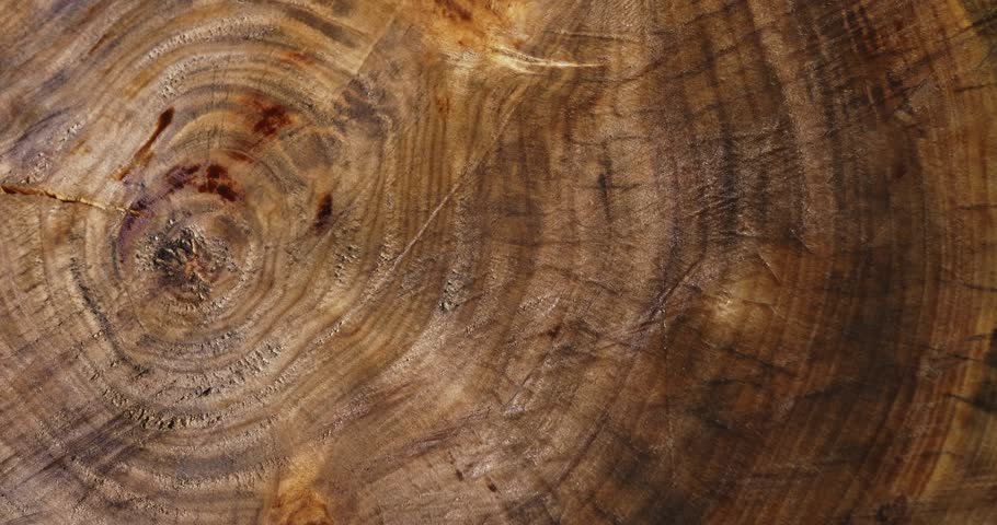 Background made from the texture of a transverse wooden slab. An object of decorative art. Rotating shooting. View from above. Close-up