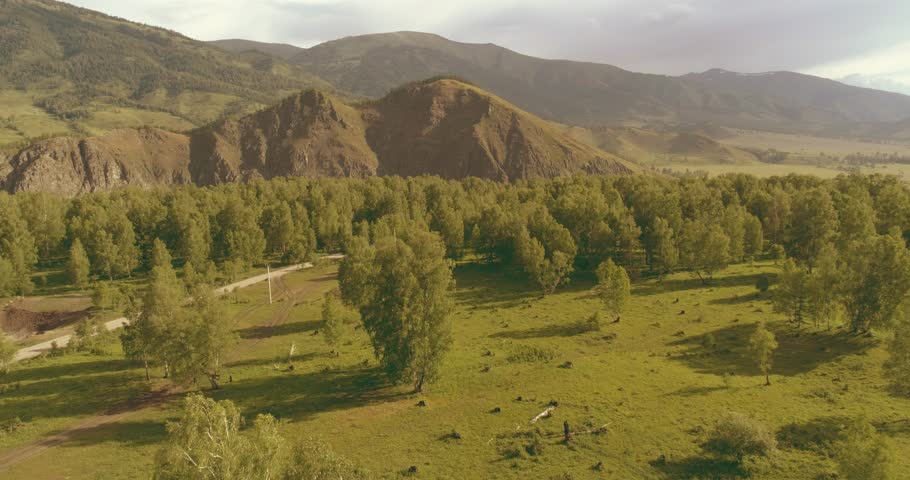 4K aerial view. Low flight above evergreen pine tree landscape with endless mountain forest at sunny summer evening. Sun rays on horizon. Fast horizontal movement. Wild nature