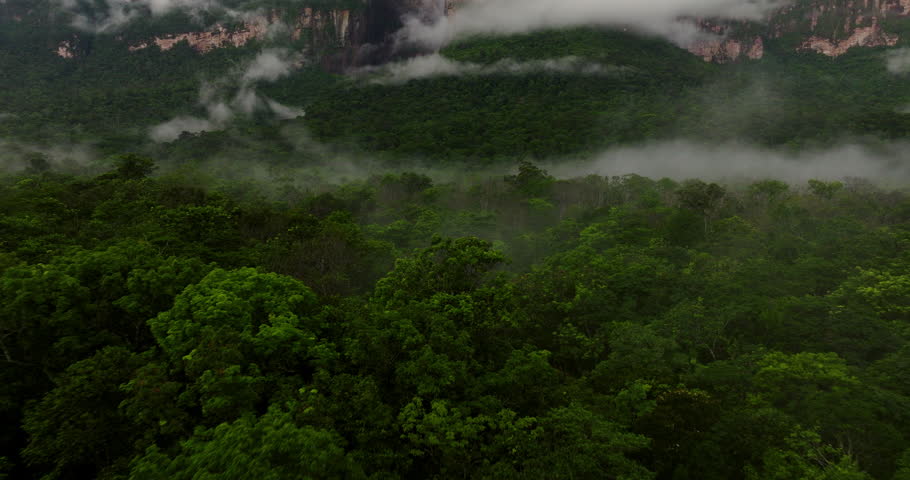 Flying Over Dense Forest To Angel Falls On Auyan-tepui Mountain In Canaima National Park, Venezuela. - aerial shot