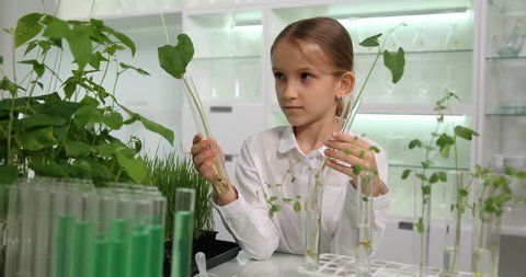 Child in Chemistry Laboratory, Schoolgirl Science Experiment, Growing Plants, Seedling in Classroom Lab, Educational Biology Project, Kid Playing Agriculture 库存视频