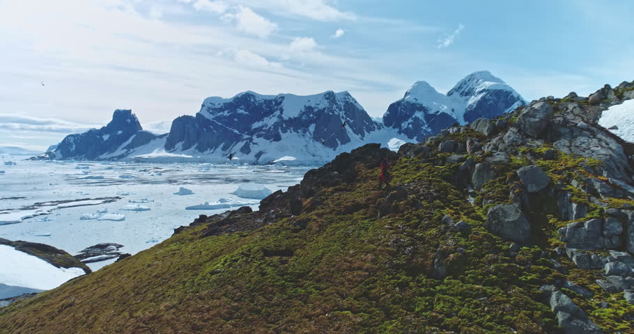 Man trekking Antarctic mountains green rock hill. Frozen ocean, ice snow covered island in background. Landscape polar winter nature. Antarctica travel exploration. Traveler expedition to South pole