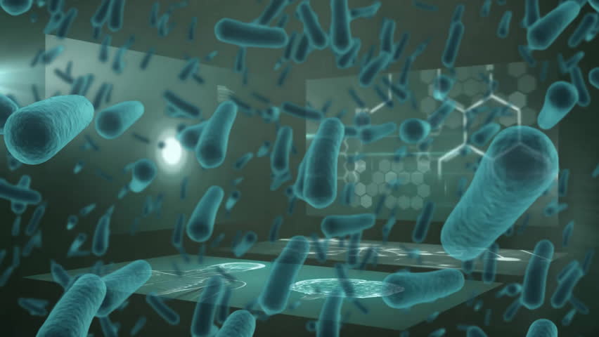 Animation of bacteria cells over science data processing. Global science, pandemic and digital interface concept digitally generated video. - Powered by Shutterstock - Get 15% off with code: PIKWIZARD15