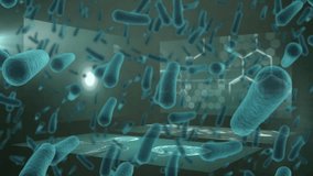 Animation of bacteria cells over science data processing. Global science, pandemic and digital interface concept digitally generated video. - Powered by Shutterstock - Get 15% off with code: PIKWIZARD15