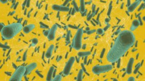 Animation of bacteria cells over shapes on yellow background. Global science, pandemic and digital interface concept digitally generated video. - Powered by Shutterstock - Get 15% off with code: PIKWIZARD15