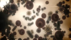 Animation of data processing over virus cells on beige background. Global pandemic, healthcare, science and digital interface concept digitally generated video. - Powered by Shutterstock - Get 15% off with code: PIKWIZARD15