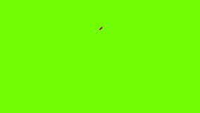 Cute minimalist doodle heart shapes looping animation on green screen motion graphic animated 4k video