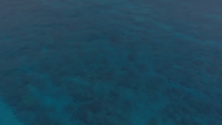 Animation of tags with icons over seaside landscape. Social media, nature, landscape and digital interface concept digitally generated video. - Powered by Shutterstock - Get 15% off with code: PIKWIZARD15