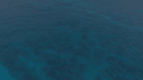 Animation of tags with icons over seaside landscape. Social media, nature, landscape and digital interface concept digitally generated video. - Powered by Shutterstock - Get 15% off with code: PIKWIZARD15