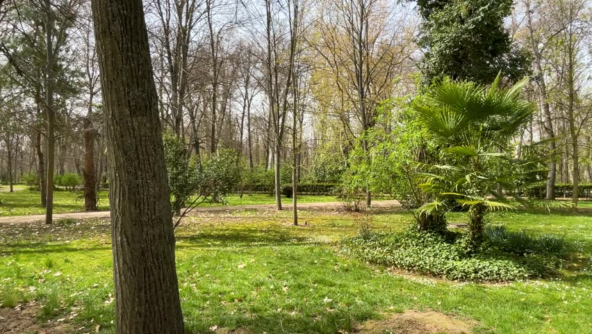 filming of a garden area with green soil, varied trees, some with leaves, others not, hedges with shapes, young palm trees, there is a dirt path to walk in the Jardin del Principe Aranjuez, Spain