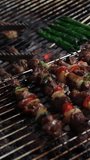 Street thai food, Barbecue grilled,Kebabs. Vertical videos