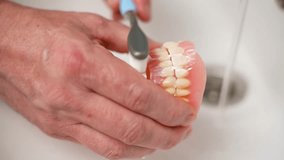 Close-up shot of cleaning dentures with toothbrush. Hand washing prosthesis teeth with brush and toothpaste. Teeth brushing, cleaning process