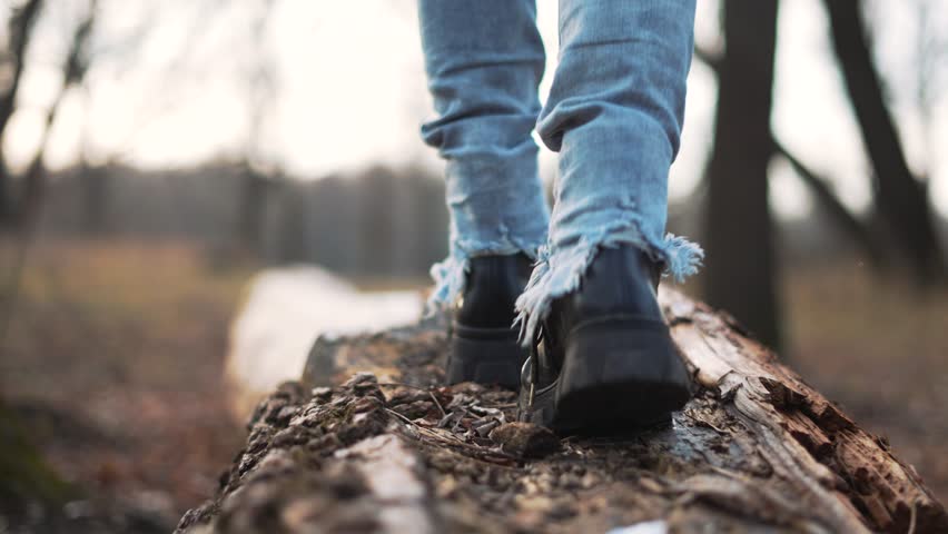Child on log.legs in trackers close-up on log forest park.walk in forest park.child's dream.child wearing trackers walks on log.happy child.playing on balance beam in forest park.happy family concept - Powered by Shutterstock - Get 15% off with code: PIKWIZARD15