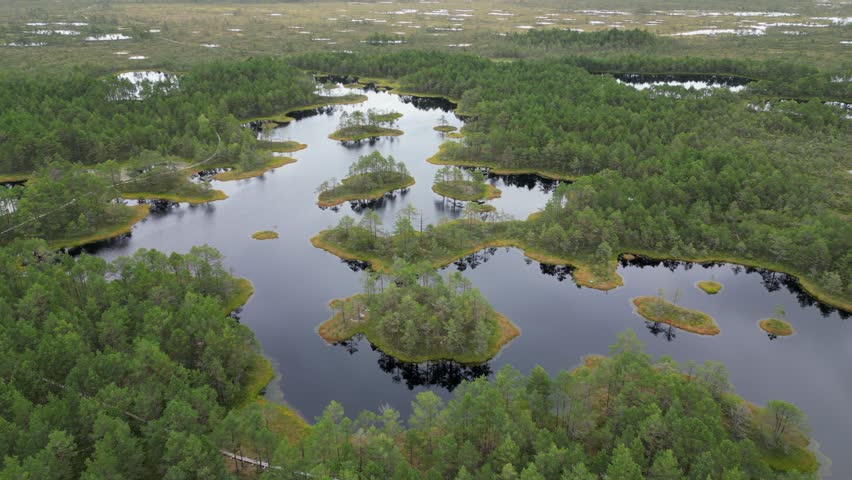 Low flyover of black water bog wetland, black reflective lake surface