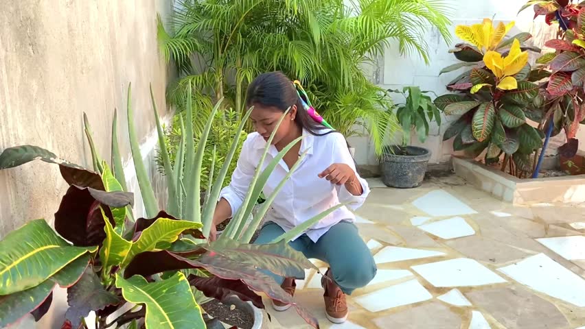 Woman Caring for Aloe Vera in a Bright Patio Garden
