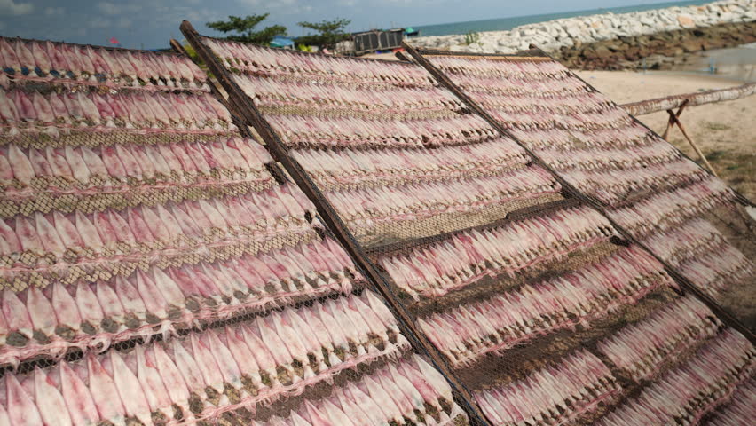 Fishing village,dried squid, Rayong, Thailand