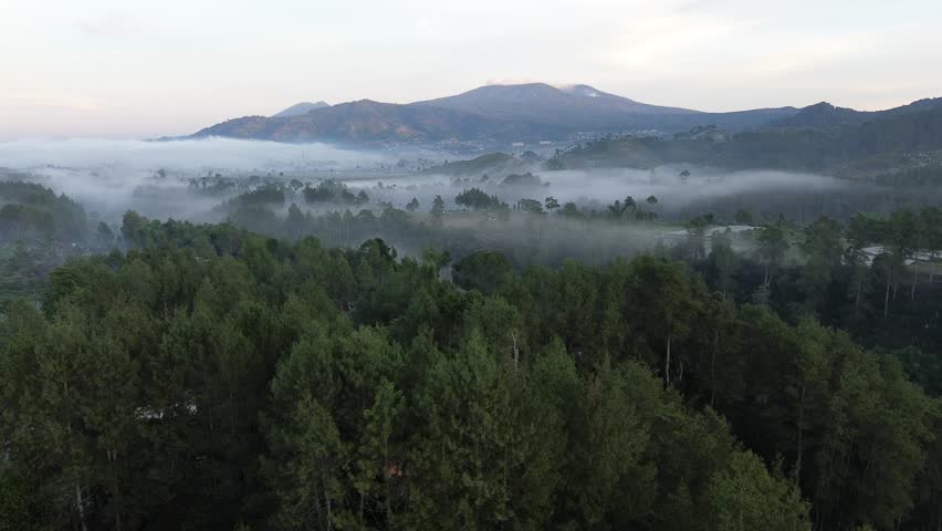 nature scenery, mountains under morning mist at sunrise. landscape forest layer mountain and fog. Beautiful sunrise over the mountain range