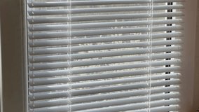 Lifting of the horizontal slats of window Venetian blinds from a closed to an open position on old plastic window and outside view of blooming tree across anti-mosquito net
 - Powered by Shutterstock - Get 15% off with code: PIKWIZARD15