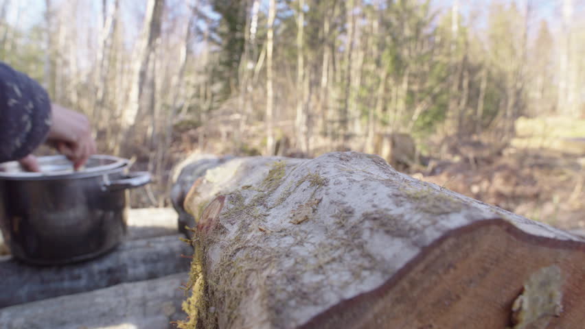 Sealing plug spawn inoculation points on log with molten wax. Fungiculture