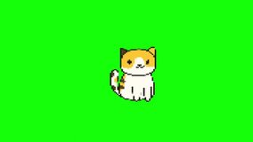 pixel cat, animation, green screen background