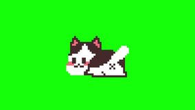 pixel cat, animation, green screen background