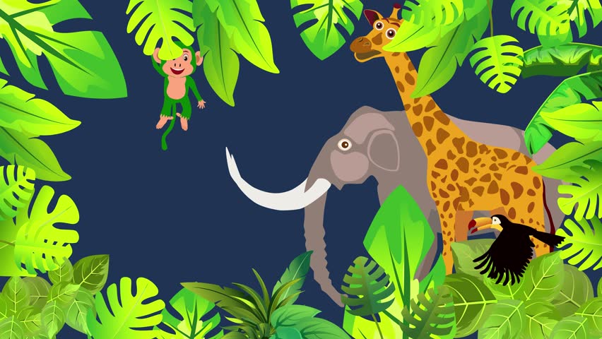Elephant giraffe and jungle amimals and birda animation cartoon