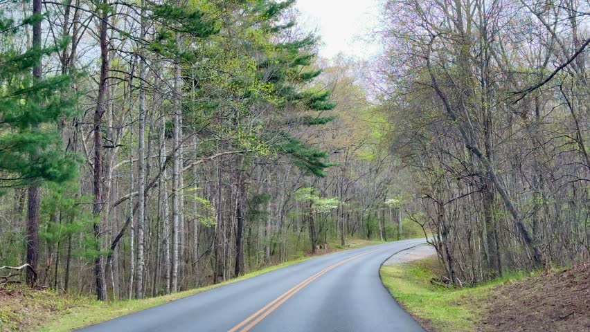 The Scenic Blue Ridge Parkway in Springtime  near Asheville NC