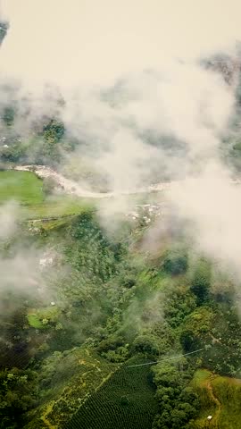 aerial view surrounded by clouds of a colombia landscape of mountains full of coffee plants and rivers