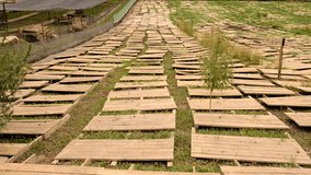 pallets on a snail farm. Selective focus. - Powered by Shutterstock - Get 15% off with code: PIKWIZARD15