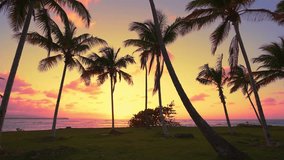 Tall silhouettes of coconut trees on the beach at sunset. Landscape of a Caribbean tropical island, sunset and sunrise view. Palm trees and calm sea. Summer beach scenery, vacation or tropical trip. - Powered by Shutterstock - Get 15% off with code: PIKWIZARD15