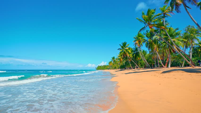 Paradise beach with palm trees on a sunny summer day - beautiful and tropical Caribbean coastline in Tulum in Quintana Roo, Riviera Maya, Cancun, Mexico. Nature landscape of a sea island.