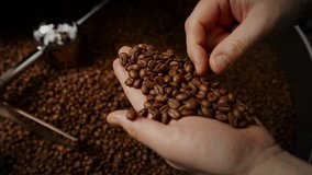 Worker checking quality of roasted coffee beans. High quality 4k footage - Powered by Shutterstock - Get 15% off with code: PIKWIZARD15