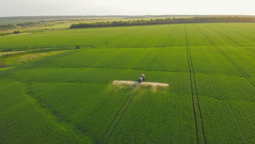 Aerial footage. Pesticide Sprayer Tractor working on a large green field at sunset. Aerial shot following on the side a tractor spraying wheat field against diseases. Farmer spraying soybean fields.