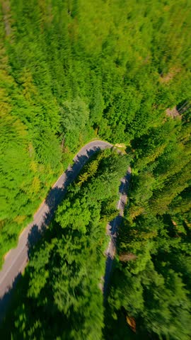 FPV of a motorcycle riding along a winding road through a mountain forest on a sunny summer day