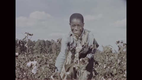 CIRCA - 1950s - Cotton grown in North Carolina is used for a variety of fabrics in the textile industry.