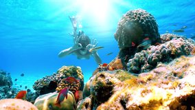 A man shows the OK sign while  snorkeling in the clear waters of the Maldives with colorful Corals and fish, Indian Ocean - Powered by Shutterstock - Get 15% off with code: PIKWIZARD15