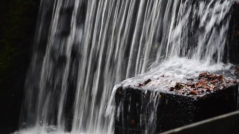 Waterfall in background of a stone with leafs