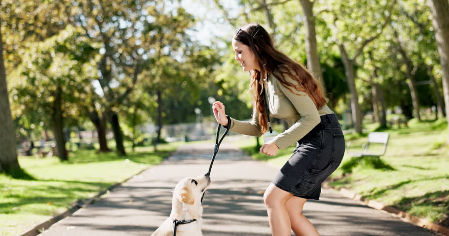 Woman, dog or pet for feeding outdoor in road with treats, snack and comfort for reward and walking in park. Animal, puppy and eating in street for nutrition, bonding and playful in nature with leash