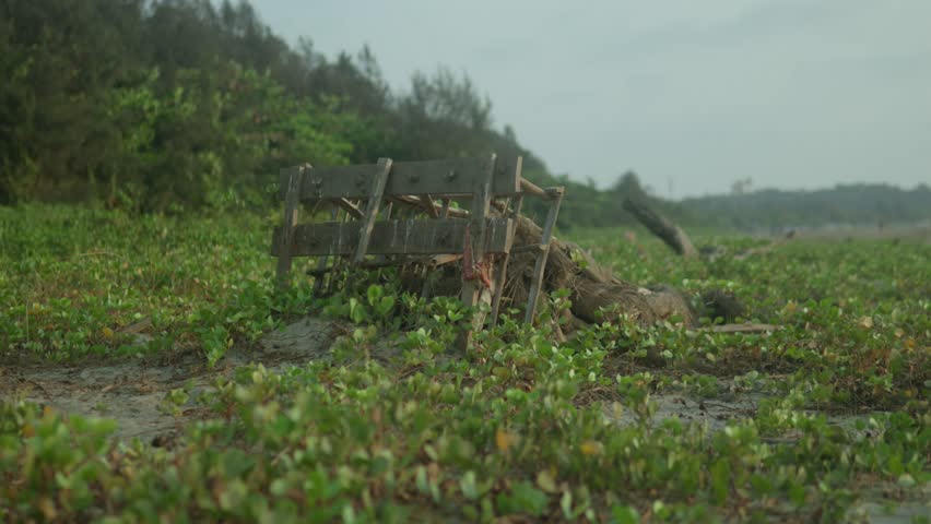 Old wooden cart abandoned in lush green overgrowth under cloudy skies, wide angle shot Royalty-Free Stock Footage #3504455923