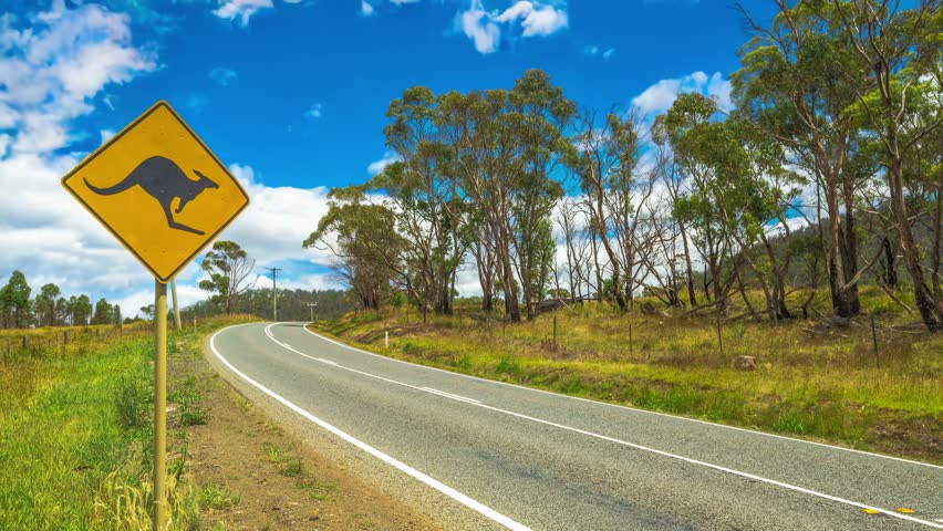 Warning sign for kangaroo crossing on Austalian country road. Cinemagraph.