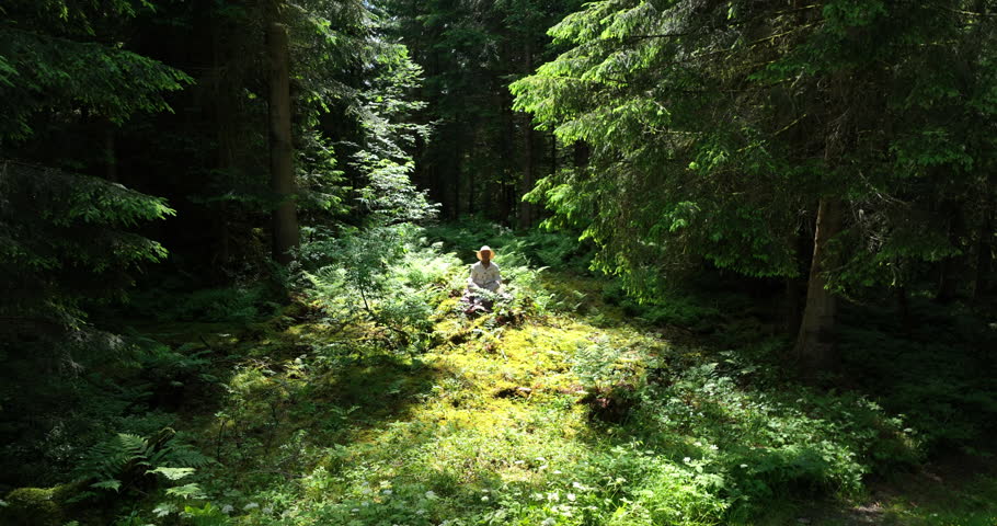 Young African Woman Practicing Yoga Meditation Exercise In Forest Nature 