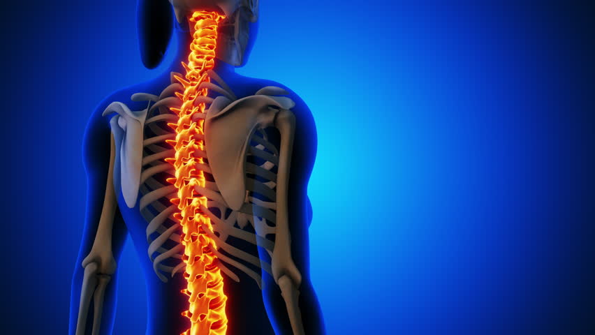 Female having a painful back medical background