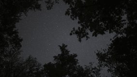 A starry night with a romantic and dreamy atmosphere. Observing the night sky with many stars through the branches of trees, far from the city. - Powered by Shutterstock - Get 15% off with code: PIKWIZARD15