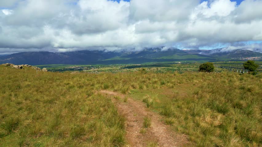Trail through the countryside with tall grasses on both sides on a strong windy day, Guadarrama, Madrid.