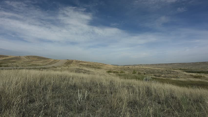 View of a gravel road that is running through a dry grassland prairie under a blue sky with white clouds. The grass is moving in a light wind.
