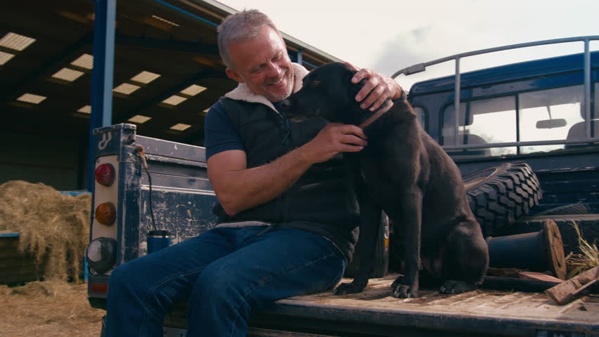 Mature male farm worker sitting on tailgate of off road farm vehicle with working dog - shot in slow motion