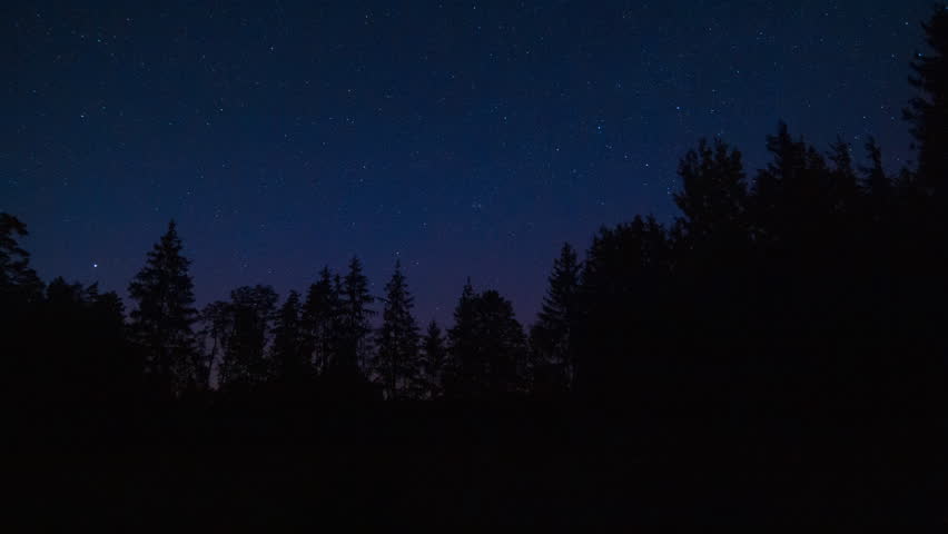 Night sky over forest. 4k time lapse with stars.